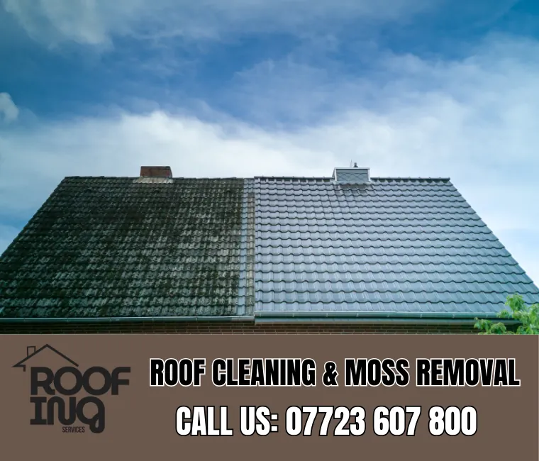 Roof cleaning and moss removal in Newton Abbot
