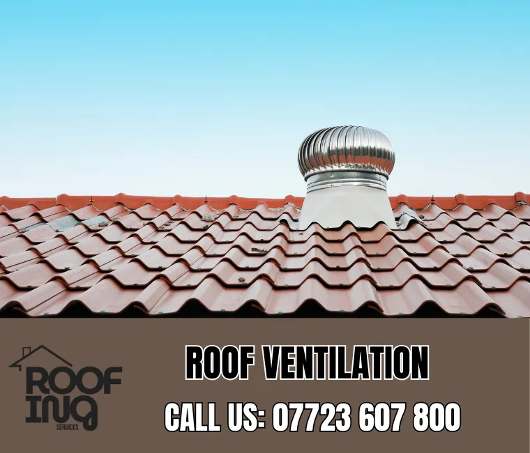 Roof ventilation solutions in Newton Abbot